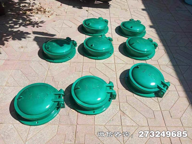 碧江玻璃钢止水拍门