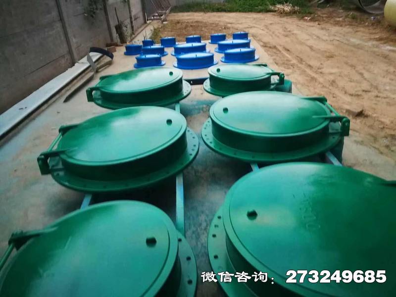 碧江市政管道口玻璃钢拍门