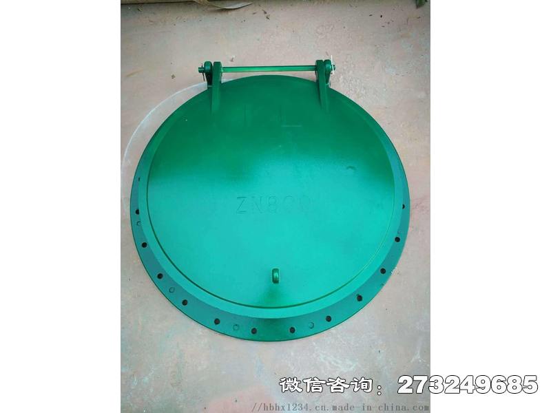 碧江污水口玻璃钢拍门