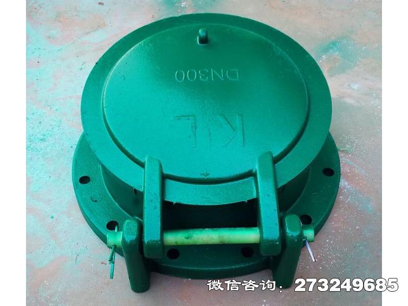 武冈dn300复合材料拍门