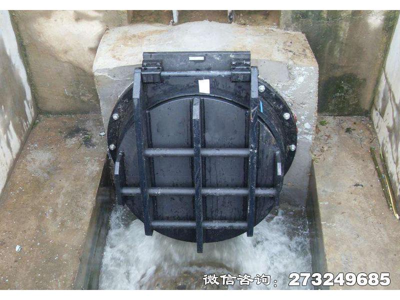 碧江钢制水渠拍门
