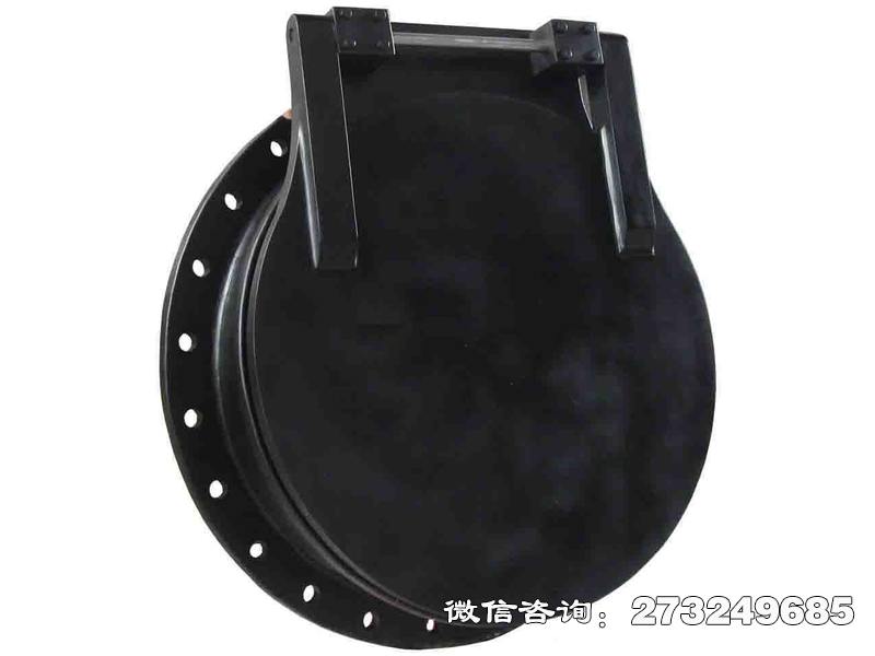 广汉pgz铸铁拍门