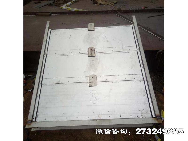 碧江不锈钢河道闸门